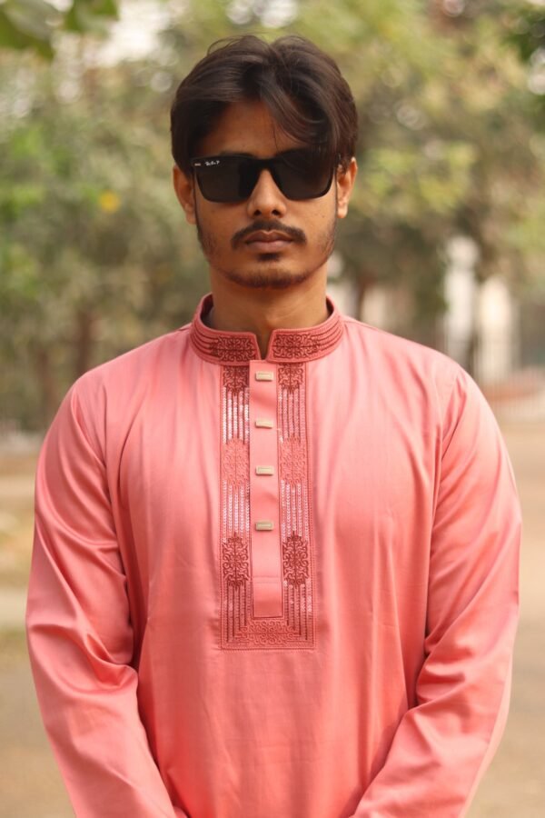 Premium Embroidered Satin Cotton Panjabi - Misty Color. PNJ-MST-006 - Image 2